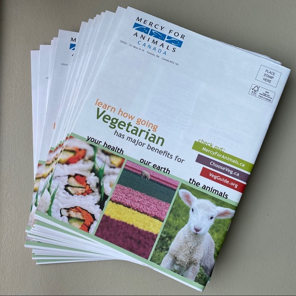 FREE ADD ON - Veg starter kits / recipes, flyers, brochures - Picture 2 of 8